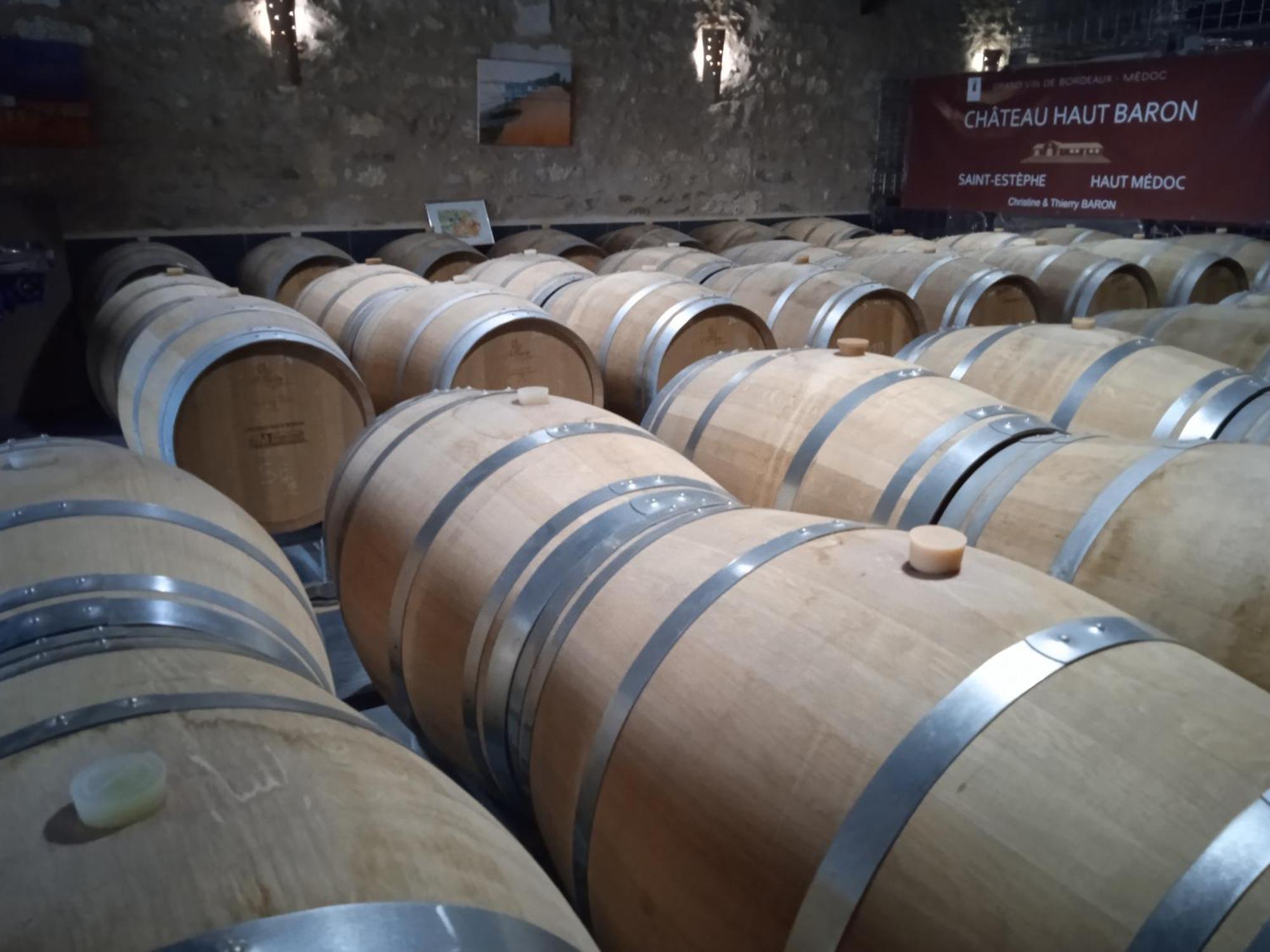 فندق Chateau Haut Baron Saint-Estèphe المظهر الخارجي الصورة